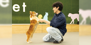 はじめてでも大丈夫！ドッグトレーナーのおシゴト体験