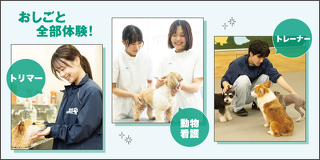 トリマー・動物看護・トレーナーおしごと全部体験！