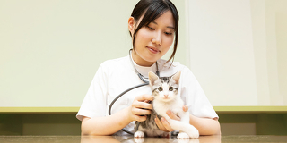 はじめてでも大丈夫！動物看護師のおシゴト体験