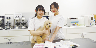 動物看護の試験問題にチャレンジ
在校生と一緒に試験問題にチャレンジしてみよう！