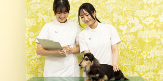 トリマー＆動物看護講座