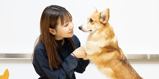 トレーナー＆動物看護講座