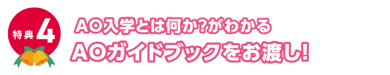特典4、AOガイドブック