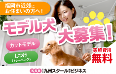 モデル犬大募集致します！