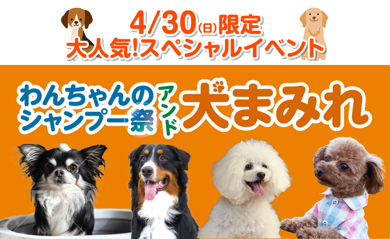 わんちゃんのシャンプー祭り&犬まみれ