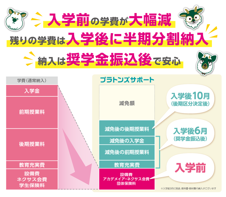 サポート内容