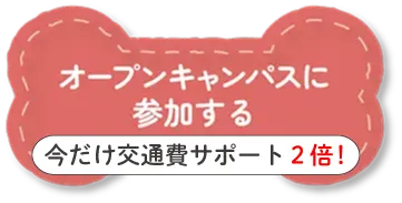 オープンキャンパスに参加する