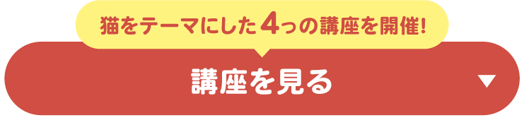 猫をテーマにした楽しい講座！