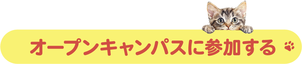 オープンキャンパスに参加する