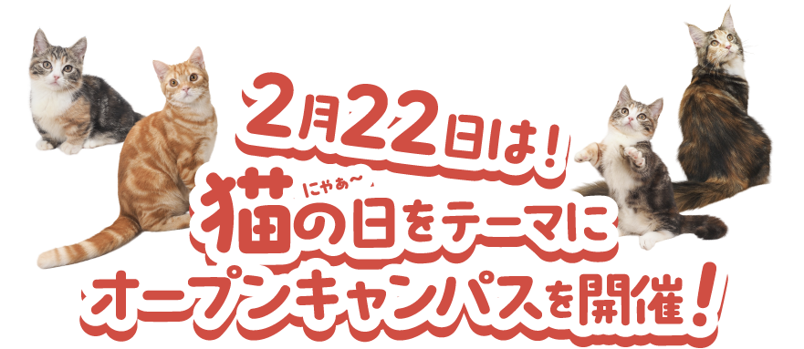2月22日は猫の日をテーマにしたオープンキャンパスを開催！