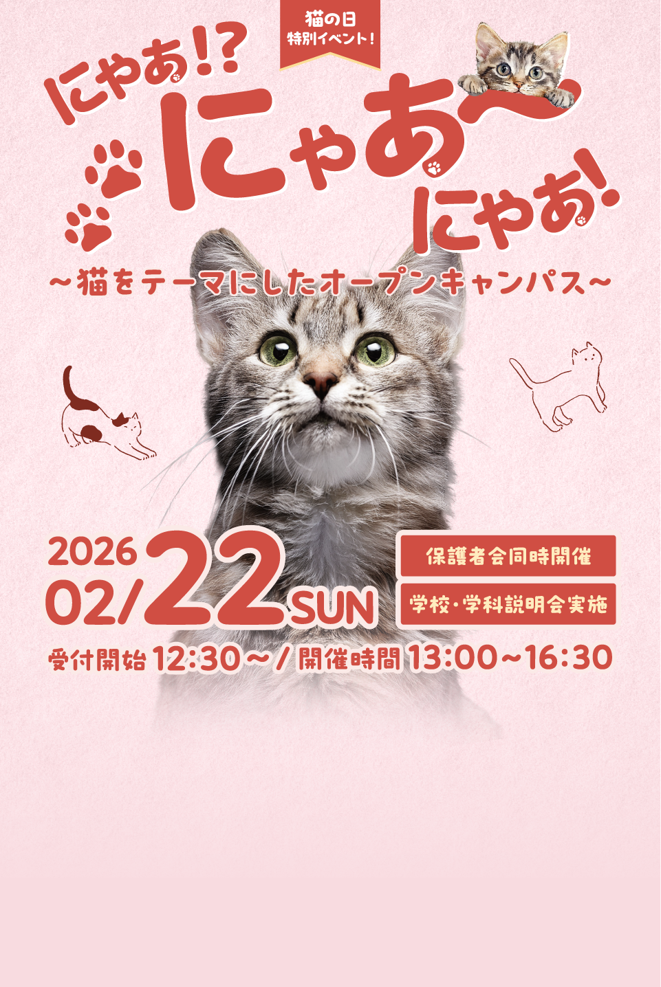 福岡ビジネス・アカデミーの猫をテーマにしたオープンキャンパス にゃあ！？にゃあ〜にゃあ！開催！