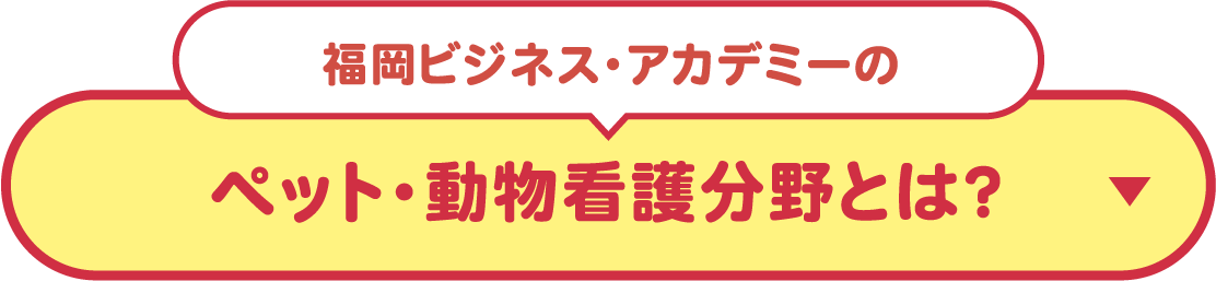 福岡ビジネス・アカデミーのペット・動物看護分野とは？