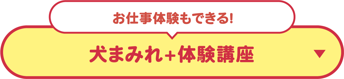 お仕事体験もできる！犬まみれ+体験講座