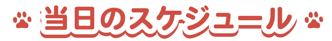 当日のスケジュール