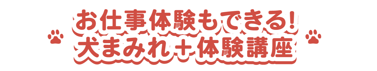 お仕事体験もできる！犬まみれ+体験講座