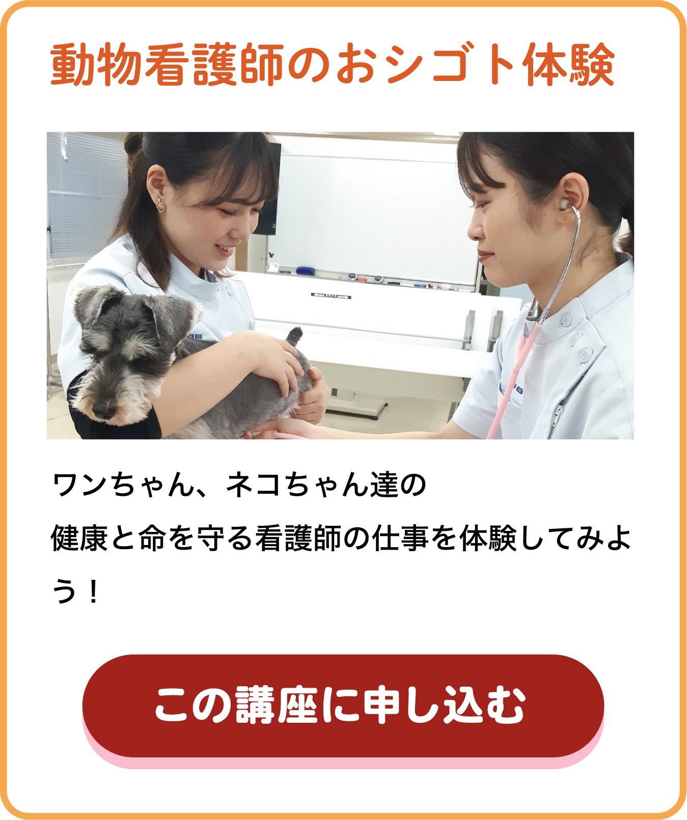 動物看護師のおシゴト体験