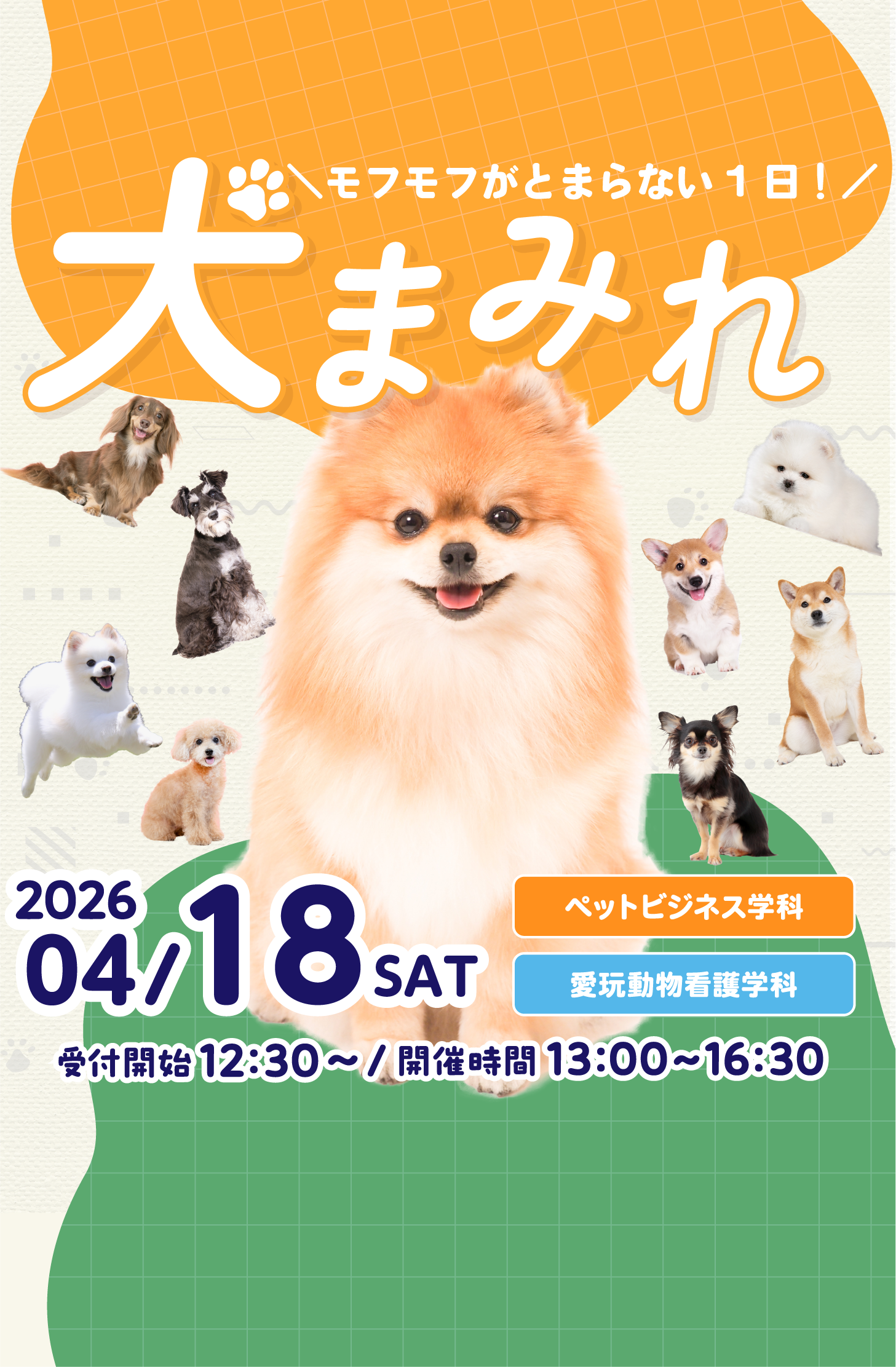 福岡ビジネス・アカデミーの犬をテーマにしたオープンキャンパス ！モフモフがとまらない1日！犬まみれ 開催！