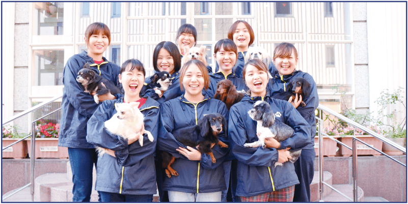 ビジアカを受験する