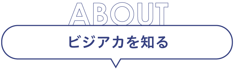 ビジアカを知る