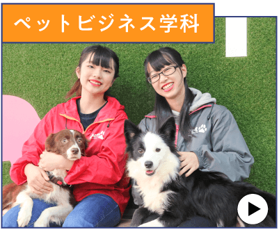 ペットビジネス学科