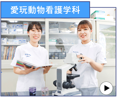 愛玩動物看護学科