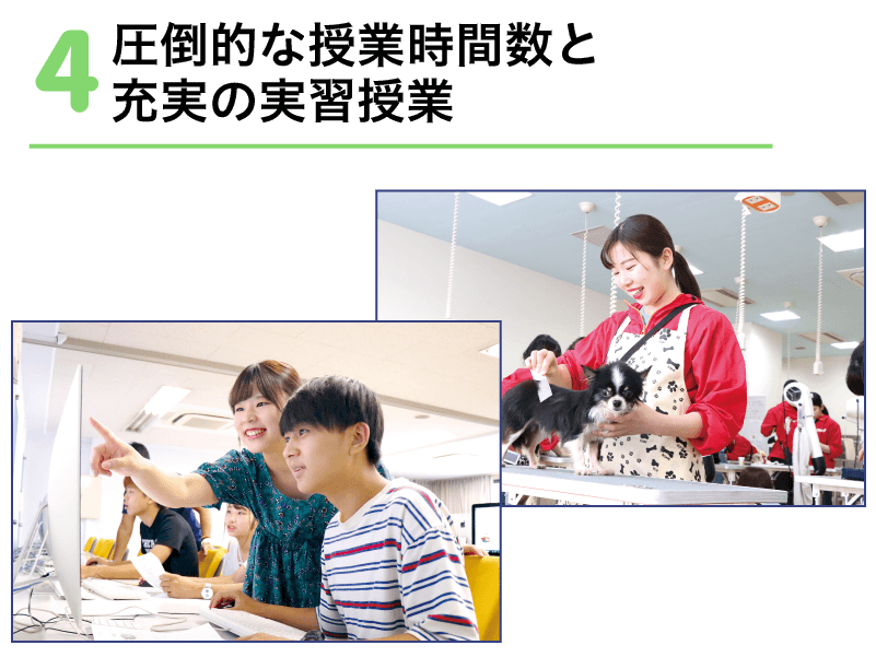 圧倒的な授業時間数と充実の実習授業