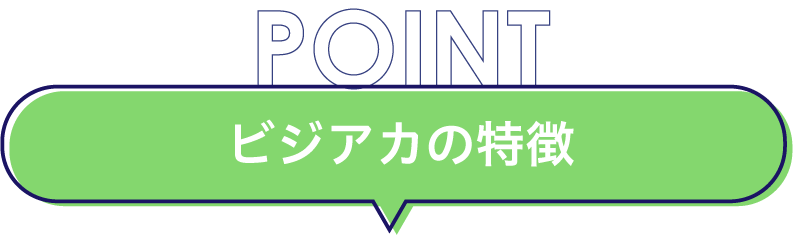 ビジアカの特徴