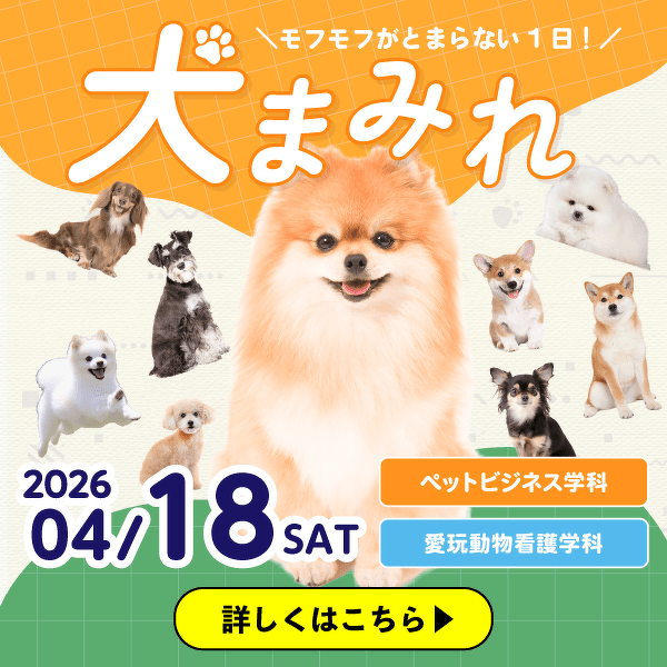 犬まみれ